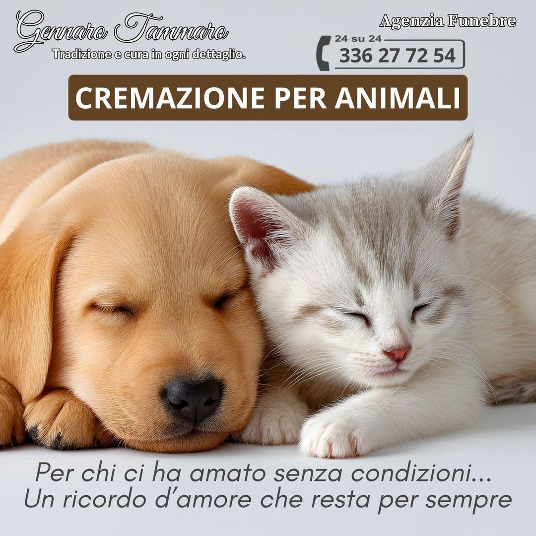 Cremazione per animali domestici a Pozzuoli - Gennaro Tammaro